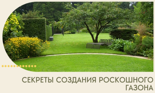 Секреты создания роскошного газона в Салавате