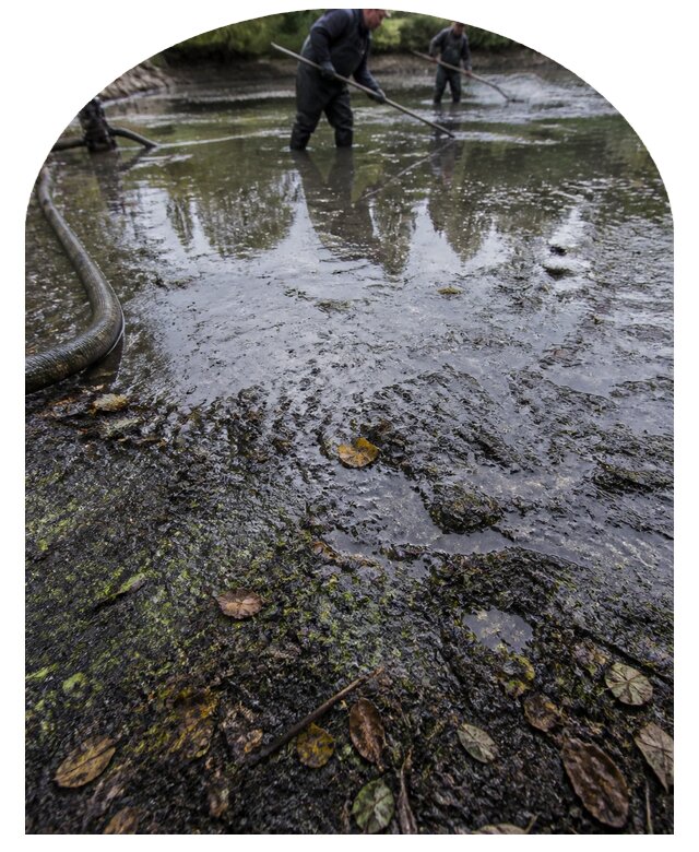 Очистка пруда в Салавате от ила мусора и водорослей с вывозом